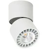 Italux Lubinis šviestuvas Herios CLN-97018-12W-L-3K