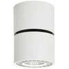 Italux Lubinis šviestuvas Herios CLN-97018-12W-L-3K
