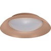 Lubinis šviestuvas 19W LED paviršinis šviestuvas ORBIS PLATE, rožinis, 3000K, dimeriuojamas