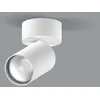 Lubinis šviestuvas 20W LED paviršinis šviestuvas DAISY 80, baltas, 3000K, 58°, DALI, matiniu dangteliu