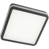24W LED paviršinis lauko šviestuvas ISOLA, tamsiai pilkas, 3000/4000/6500K, IP54, valdomas TUYA programėle, 90289