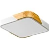 24W LED paviršinis šviestuvas SANTER, medžio/baltos sp., 3000K