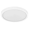 Lubinis šviestuvas 24W LED paviršinis šviestuvas ESSENTIAL ORBIS, baltas, 3000K
