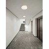 Lubinis šviestuvas 24W LED paviršinis šviestuvas KNOB, matinės aukso sp., 3000/6500K