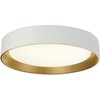 Lubinis šviestuvas 24W LED paviršinis šviestuvas SPIRITED, baltos/aukso sp., 3000K, 4271100