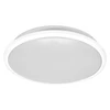 Lubinis šviestuvas 24W LED paviršinis šviestuvas ESSENTIAL ORBIS, baltas, 3000K, su judesio davikliu