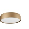 Lubinis šviestuvas 29W LED paviršinis šviestuvas YOMO, aukso sp., 3000K, dimeriuojamas, 01-2565