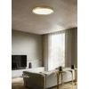 Lubinis šviestuvas Viokef 38W LED paviršinis šviestuvas VANESSA, šlifuoto aukso sp., 3000/4000K, dimeriuojamas, 4292801