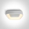 Lubinis šviestuvas 38W LED vidaus plafonas, baltas, 2700/3000/4000K, dimeriuojamas, 62132NA/W/V
