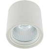 Lubinis šviestuvas 40W LED paviršinis šviestuvas LUNA, baltas, 3000K