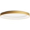 Lubinis šviestuvas 40W LED paviršinis šviestuvas NOBU, matinės aukso sp., 3000/4000K, dimeriuojamas, 01-3804