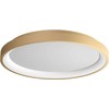 Lubinis šviestuvas 40W LED paviršinis šviestuvas ICONIC, matinės aukso sp., 3000/4000K, dimeriuojamas, 01-3906