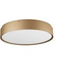 Lubinis šviestuvas 43,6W LED paviršinis šviestuvas YOMO, aukso sp., 3000K, dimeriuojamas, 01-2568