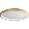 Lubinis šviestuvas 50W LED paviršinis šviestuvas ICONIC, matinės aukso sp., 3000/4000K, dimeriuojamas, 01-3909