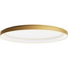 Lubinis šviestuvas 60W LED paviršinis šviestuvas NOBU, matinės aukso sp., 3000/4000K, dimeriuojamas, 01-3807