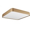 Lubinis šviestuvas 60W LED paviršinis šviestuvas YOMO, aukso sp., 3000K, dimeriuojamas, 01-2580
