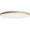 Lubinis šviestuvas 80W LED paviršinis šviestuvas NOBU, matinės aukso sp., 3000/4000K, dimeriuojamas, 01-3810