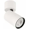 Italux Lubinis šviestuvas SPL-2846-1SC-WH