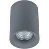 Pakabinamas šviestuvas Italux Lubinis šviestuvas TM09080-GR