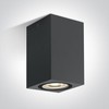 Paviršinis šviestuvas, GU10, antracito sp., IP65, 67142D/AN
