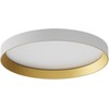 Lubinis šviestuvas 30W LED paviršinis šviestuvas DAMA, baltas/aukso sp., 3000/4000/5000K, 35cm, 01-3745