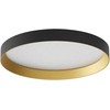 Lubinis šviestuvas 30W LED paviršinis šviestuvas DAMA, juodos/aukso sp., 3000/4000/5000K, 35cm, 01-3749
