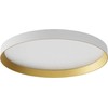 Lubinis šviestuvas 40W LED paviršinis šviestuvas DAMA, baltas/aukso sp., 3000/4000/5000K, 35cm, 01-3746