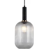 Italux Pakabinamas šviestuvas PND-5588-1L-BK+CL