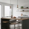 Italux Pakabinamas šviestuvas PND-5588-1L-BRO+CL