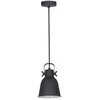 Italux Pakabinamas šviestuvas MD-HN82608-1-BK+WH