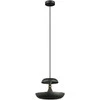 Italux Pakabinamas šviestuvas Marina PND-73221-1M-GR