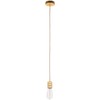 Italux Pakabinamas šviestuvas DS-M-010-03 GOLD