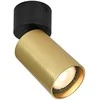 Italux Lubinis šviestuvas Nesto SPL-23436-1R-BK-BRSS