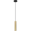 Italux Pakabinamas šviestuvas Rilok PND-83920-1-GD