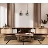 Italux Pakabinamas šviestuvas Santia PND-65342-1-BRO+SG