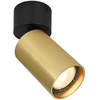 Italux Lubinis šviestuvas Nesto SPL-23436-1R-BK-BRSS