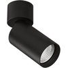 Lubinis šviestuvas Paviršinis akcentinis šviestuvas ZOOM, GU10, juodas, F37640N