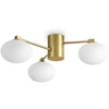 Lubinis šviestuvas Ideal Lux Paviršinis šviestuvas HERMES, G9, žalvario sp., 317007