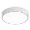 Lubinis šviestuvas Ideal Lux 26W LED plafonas RAY, baltas, 3000/4000K, IP44, 318264