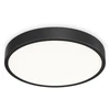 Lubinis šviestuvas Ideal Lux 44W LED plafonas RAY, juodas, 3000/4000K, IP44, 327686