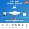 Avatto Gateway GW16-W-Mėlyna