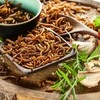 Baltojo šokolado saldainis ant pagaliuko su traškiais skrudintais kirminais