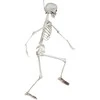 Dekoracija "Skeletas" (91cm)
