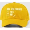 Kepuraitė "Are you drunk?"
