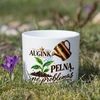 Keramikinis vazonas "Auginkite pelną, ne problemas"