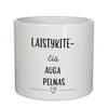 Keramikinis vazonas "Laistykite - čia auga pelnas"