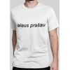 Marškinėliai "Alaus prašau"