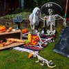 Boland Traciks Meksikietiška skrybėlė „Sombrero Calavera“
