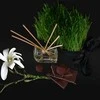 Aromika Namų kvapas su lazdelėmis "Magnolijų sodas"