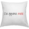 Pagalvės užvalkalas "Čia gyvena meilė"